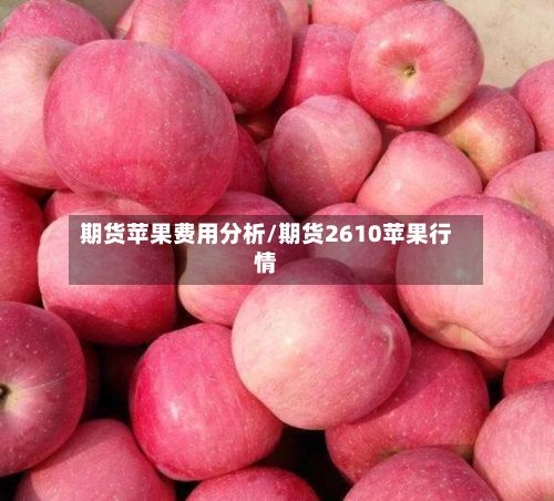 期货苹果费用分析/期货2610苹果行情