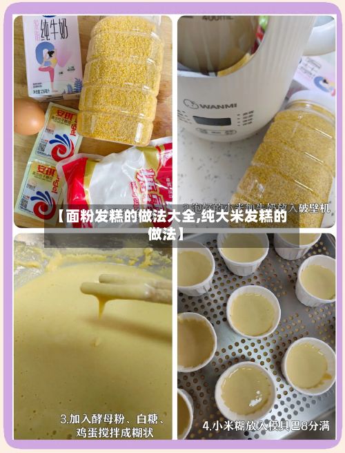 【面粉发糕的做法大全,纯大米发糕的做法】-第2张图片