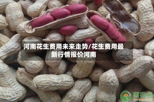河南花生费用未来走势/花生费用最新行情报价河南-第3张图片