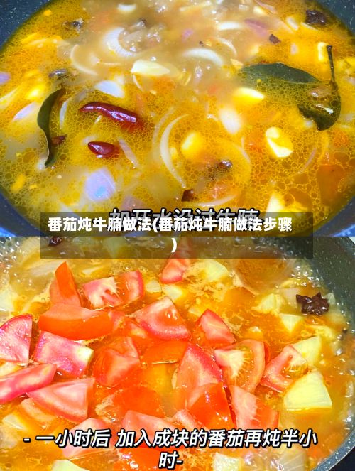 番茄炖牛腩做法(番茄炖牛腩做法步骤)