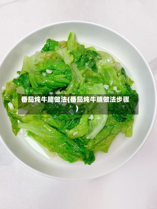 番茄炖牛腩做法(番茄炖牛腩做法步骤)-第3张图片