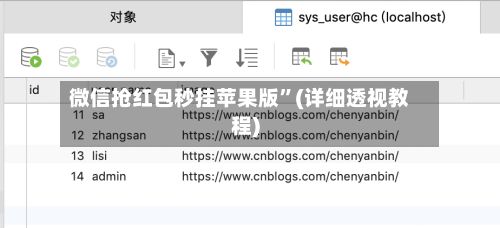 微信抢红包秒挂苹果版”(详细透视教程)-第3张图片