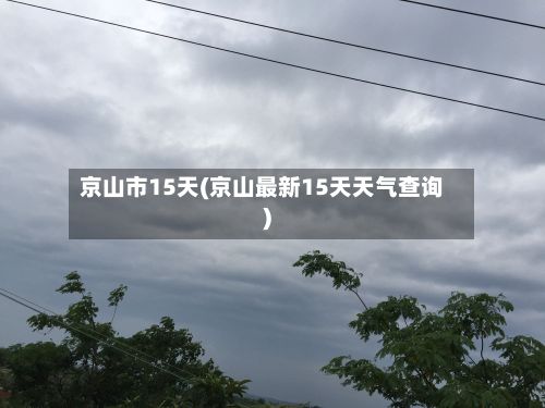 京山市15天(京山最新15天天气查询)-第2张图片
