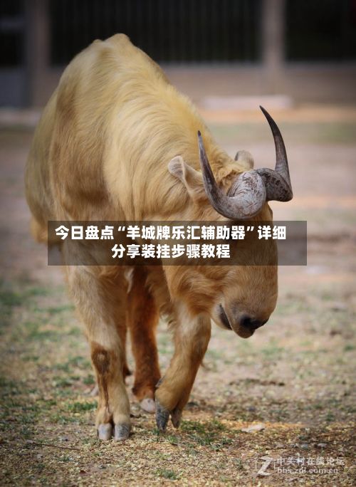 今日盘点“羊城牌乐汇辅助器	”详细分享装挂步骤教程-第2张图片