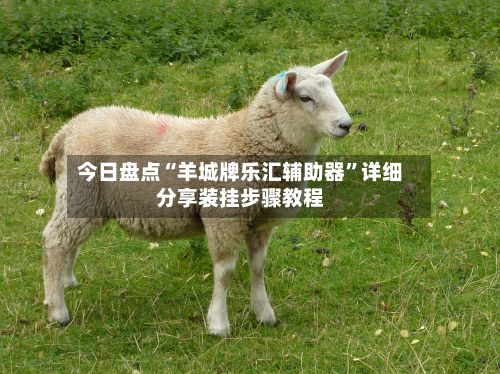 今日盘点“羊城牌乐汇辅助器”详细分享装挂步骤教程-第3张图片