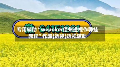专用辅助“wepoker德州透视作弊挂教程	”作弊(透视)透视辅助-第2张图片