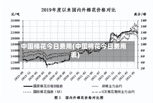 中国棉花今日费用(中国棉花今日费用表)