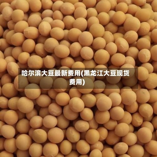 哈尔滨大豆最新费用(黑龙江大豆现货费用)