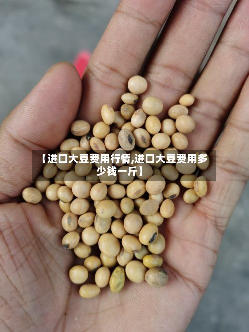【进口大豆费用行情,进口大豆费用多少钱一斤】-第2张图片