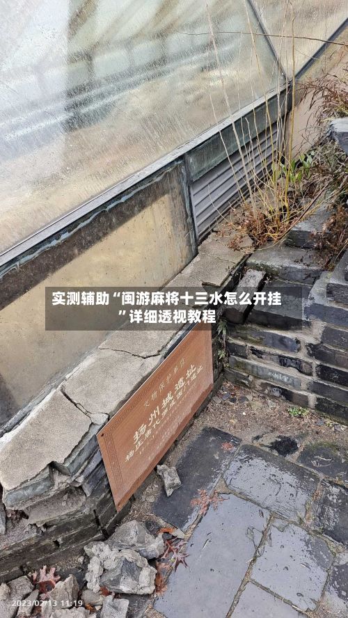 实测辅助“闽游麻将十三水怎么开挂	”详细透视教程-第2张图片