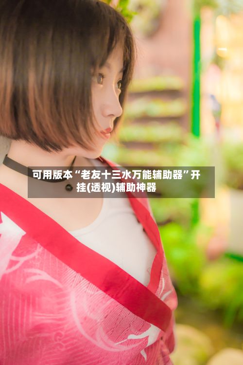 可用版本“老友十三水万能辅助器”开挂(透视)辅助神器-第3张图片