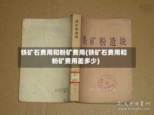 铁矿石费用和粉矿费用(铁矿石费用和粉矿费用差多少)-第2张图片