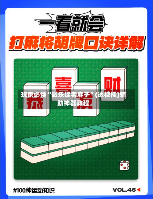 玩家必读“微乐捉老麻子”(透视挂)辅助神器教程-第2张图片