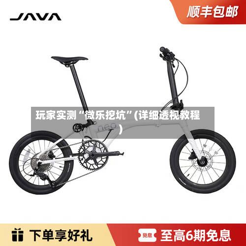 玩家实测“微乐挖坑	”(详细透视教程)-第2张图片