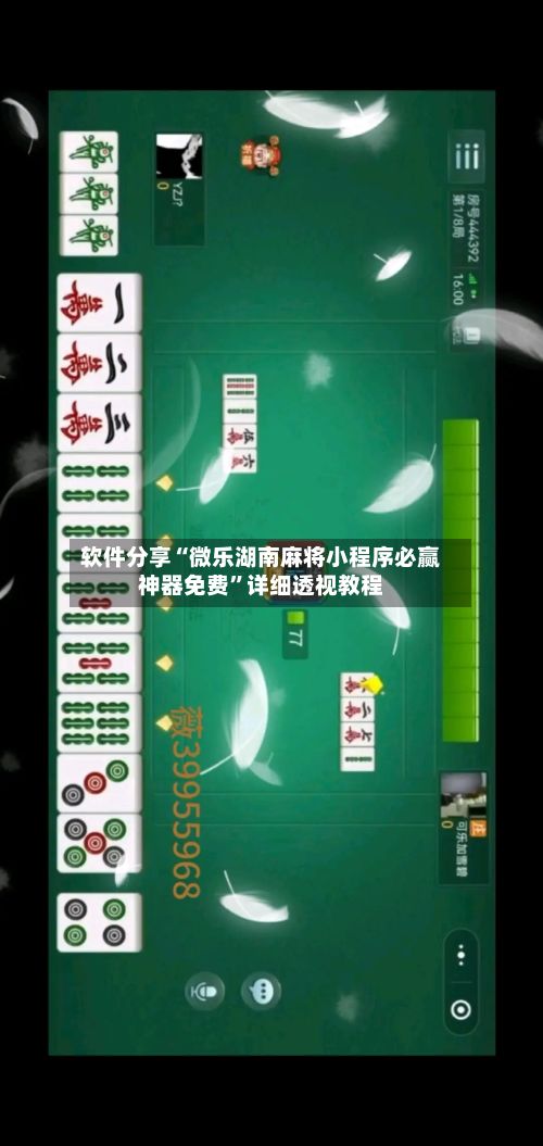 软件分享“微乐湖南麻将小程序必赢神器免费”详细透视教程-第2张图片