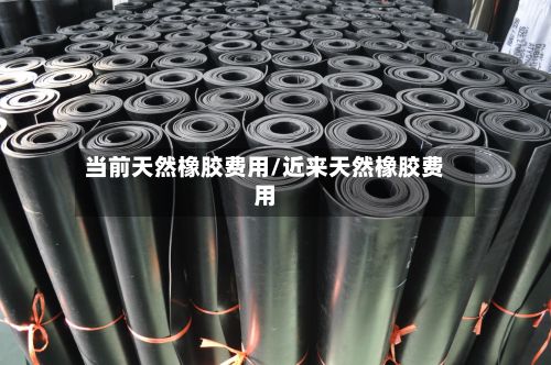 当前天然橡胶费用/近来天然橡胶费用-第3张图片