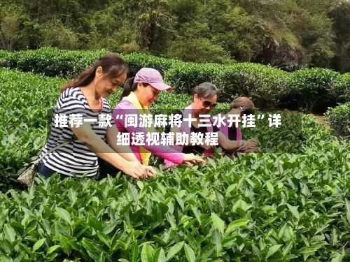推荐一款“闽游麻将十三水开挂”详细透视辅助教程-第3张图片
