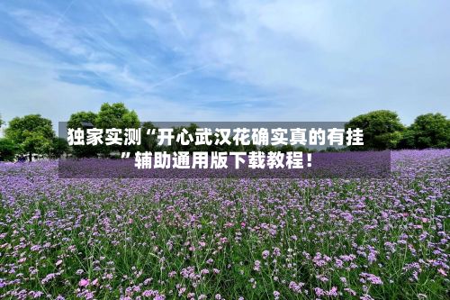 独家实测“开心武汉花确实真的有挂”辅助通用版下载教程！
