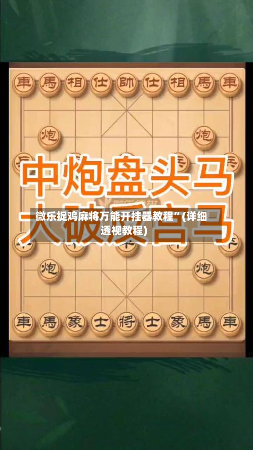 微乐捉鸡麻将万能开挂器教程”(详细透视教程)-第2张图片