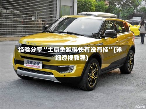 经验分享“土豪金跑得快有没有挂”(详细透视教程)-第2张图片