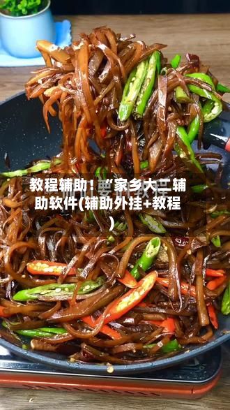教程辅助！“家乡大二辅助软件(辅助外挂+教程)