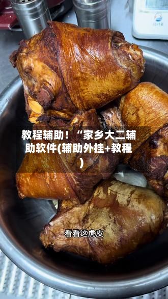 教程辅助！“家乡大二辅助软件(辅助外挂+教程)-第3张图片