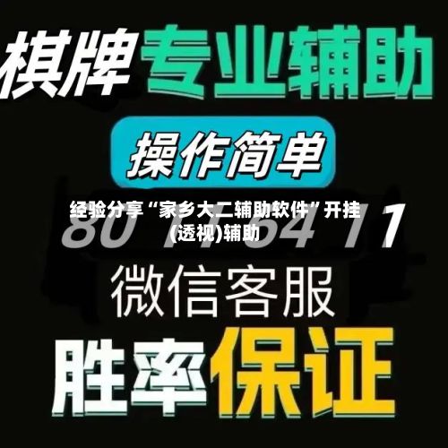 经验分享“家乡大二辅助软件”开挂(透视)辅助