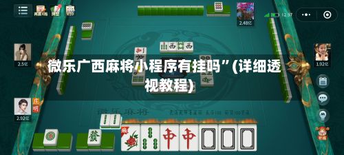 微乐广西麻将小程序有挂吗	”(详细透视教程)-第2张图片