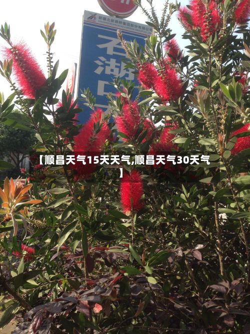 【顺昌天气15天天气,顺昌天气30天气】-第2张图片