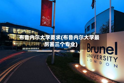 布鲁内尔大学要求(布鲁内尔大学最厉害三个专业)