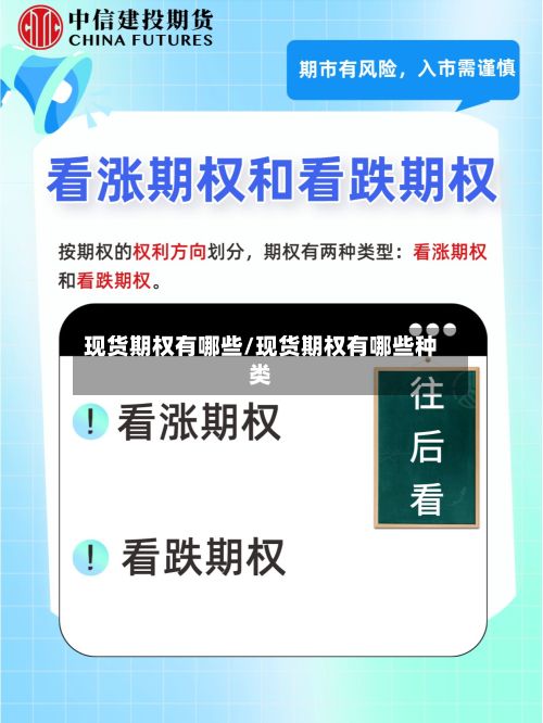 现货期权有哪些/现货期权有哪些种类-第2张图片