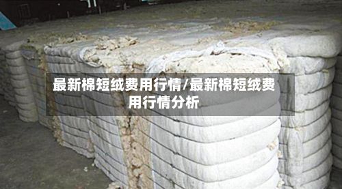 最新棉短绒费用行情/最新棉短绒费用行情分析-第3张图片
