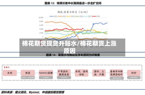 棉花期货现货升贴水/棉花期货上涨原因
