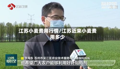 江苏小麦费用行情/江苏近来小麦费用多少