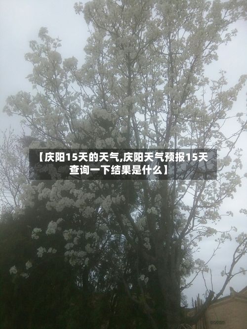 【庆阳15天的天气,庆阳天气预报15天查询一下结果是什么】