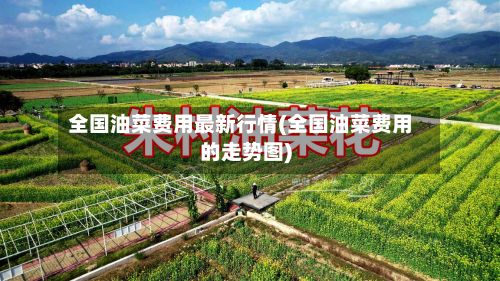 全国油菜费用最新行情(全国油菜费用的走势图)