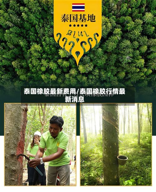 泰国橡胶最新费用/泰国橡胶行情最新消息-第3张图片