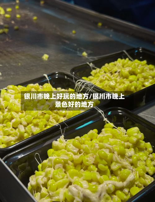银川市晚上好玩的地方/银川市晚上景色好的地方-第3张图片