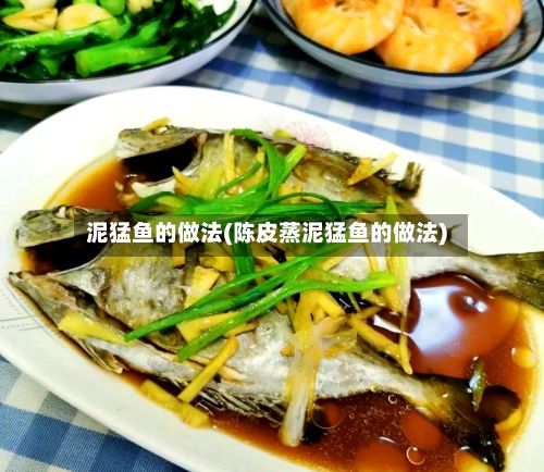 泥猛鱼的做法(陈皮蒸泥猛鱼的做法)