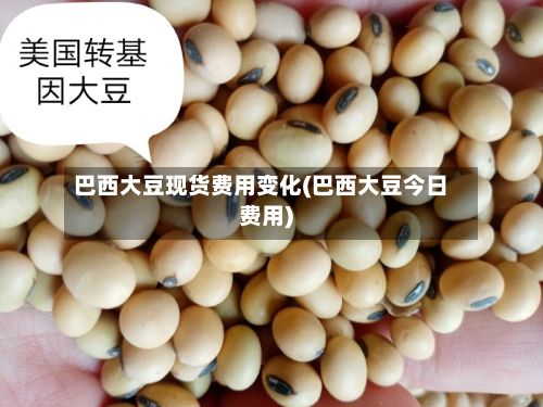 巴西大豆现货费用变化(巴西大豆今日费用)-第2张图片