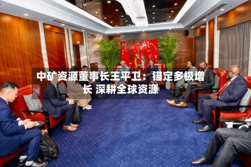 中矿资源董事长王平卫：锚定多极增长 深耕全球资源-第2张图片