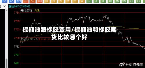 棕榈油跟橡胶费用/棕榈油和橡胶期货比较哪个好-第2张图片