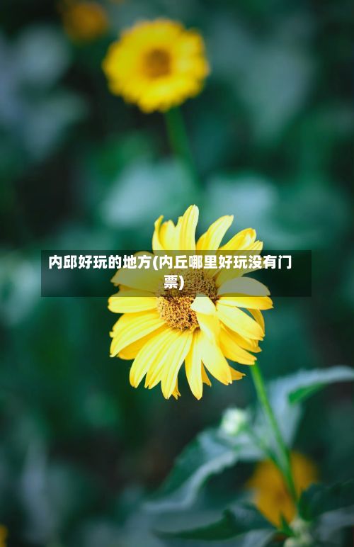 内邱好玩的地方(内丘哪里好玩没有门票)-第2张图片