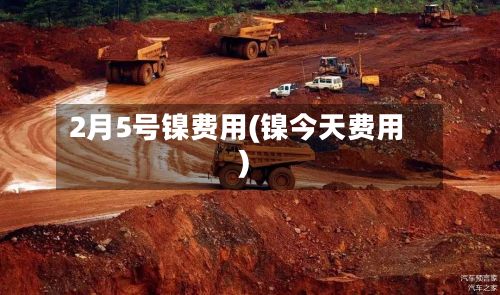2月5号镍费用(镍今天费用)-第2张图片
