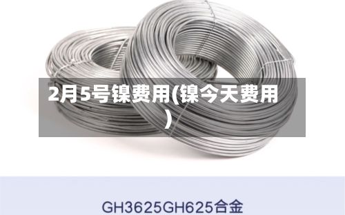 2月5号镍费用(镍今天费用)