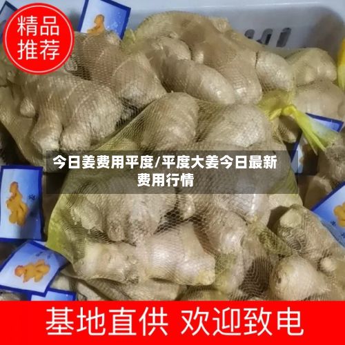 今日姜费用平度/平度大姜今日最新费用行情
