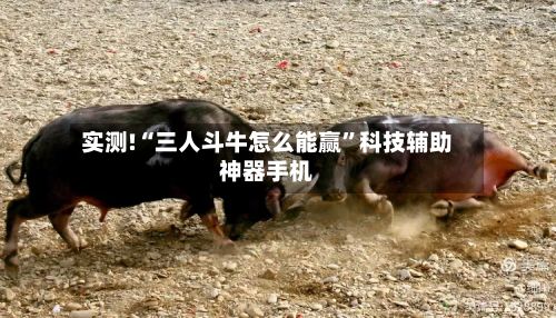 实测!“三人斗牛怎么能赢”科技辅助神器手机-第2张图片