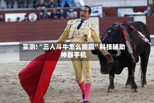 实测!“三人斗牛怎么能赢	”科技辅助神器手机-第3张图片