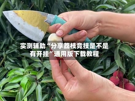 实测辅助“分享荔枝竞技是不是有开挂”通用版下载教程-第2张图片