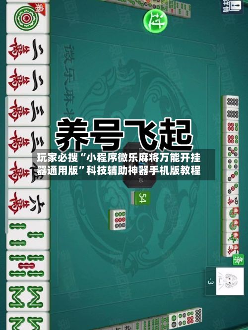 玩家必搜“小程序微乐麻将万能开挂器通用版	”科技辅助神器手机版教程-第2张图片